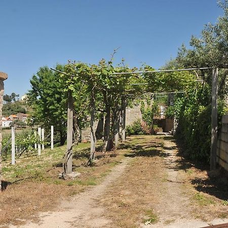 Villa Quinta Do Vale Sanguinho Seia Exterior foto